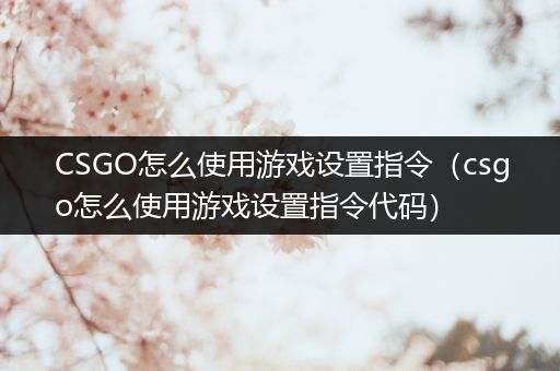 CSGO怎么使用游戏设置指令（csgo怎么使用游戏设置指令代码）