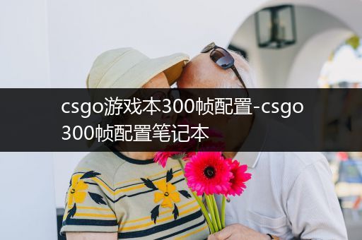 csgo游戏本300帧配置-csgo300帧配置笔记本