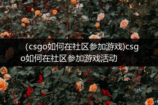 （csgo如何在社区参加游戏)csgo如何在社区参加游戏活动