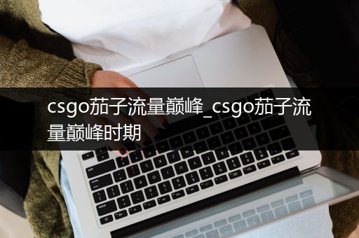csgo茄子流量巅峰_csgo茄子流量巅峰时期