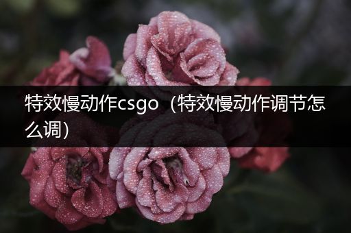 特效慢动作csgo（特效慢动作调节怎么调）