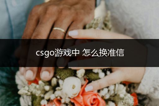 csgo游戏中 怎么换准信