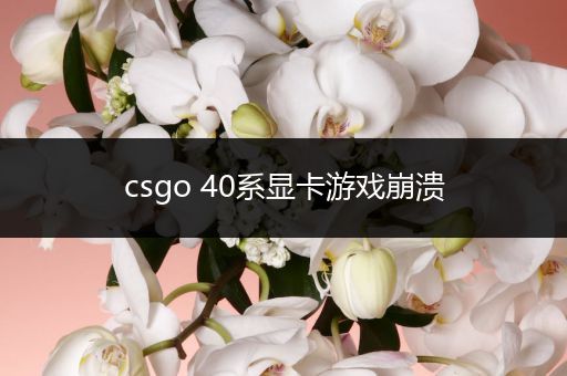csgo 40系显卡游戏崩溃