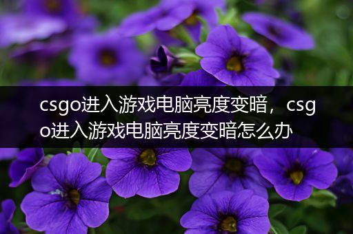 csgo进入游戏电脑亮度变暗，csgo进入游戏电脑亮度变暗怎么办