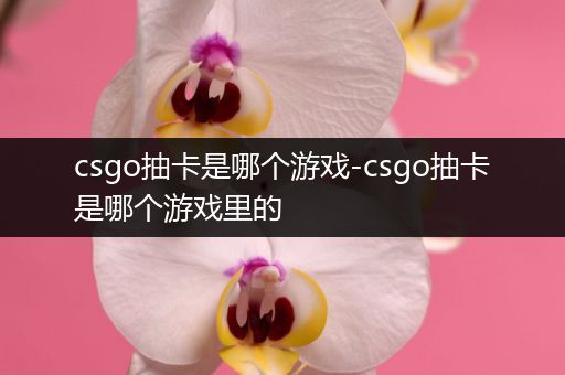 csgo抽卡是哪个游戏-csgo抽卡是哪个游戏里的