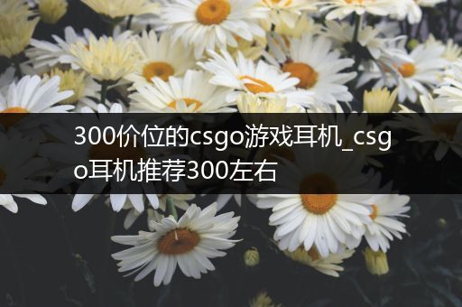 300价位的csgo游戏耳机_csgo耳机推荐300左右