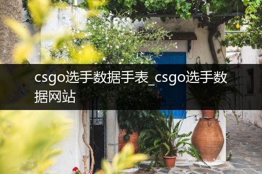 csgo选手数据手表_csgo选手数据网站
