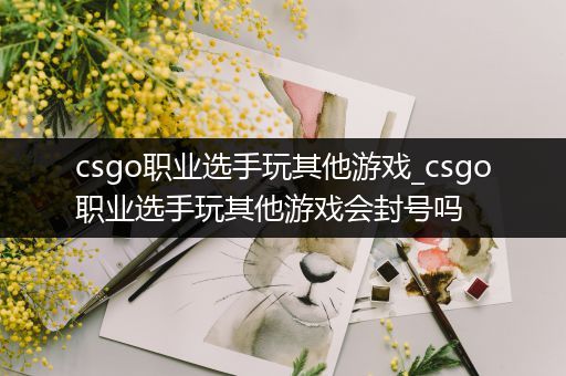 csgo职业选手玩其他游戏_csgo职业选手玩其他游戏会封号吗