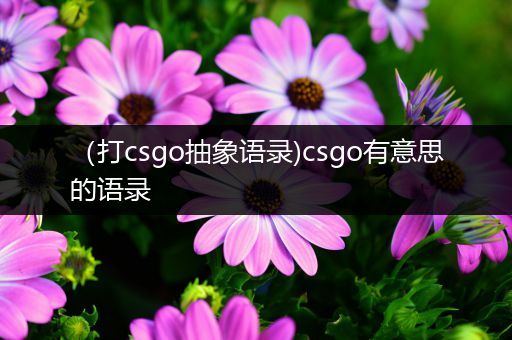 （打csgo抽象语录)csgo有意思的语录