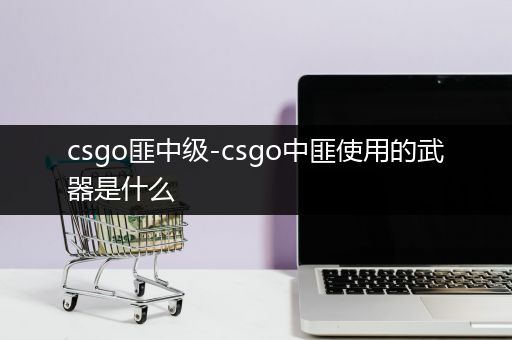 csgo匪中级-csgo中匪使用的武器是什么