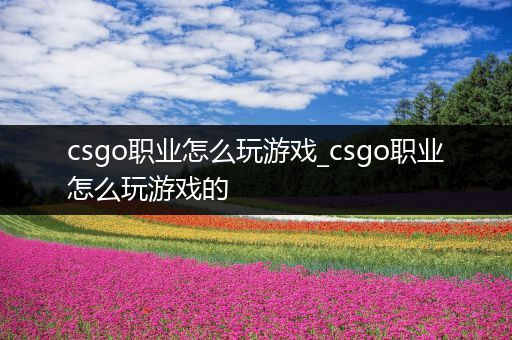 csgo职业怎么玩游戏_csgo职业怎么玩游戏的