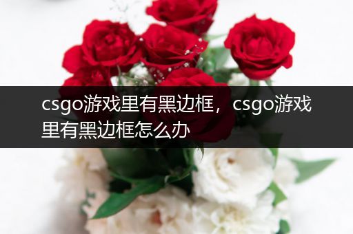 csgo游戏里有黑边框，csgo游戏里有黑边框怎么办