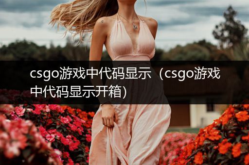 csgo游戏中代码显示（csgo游戏中代码显示开箱）