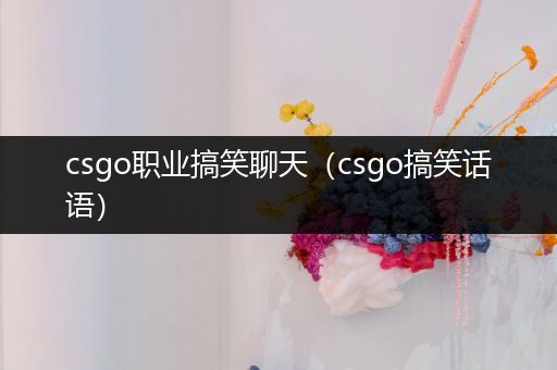 csgo职业搞笑聊天（csgo搞笑话语）