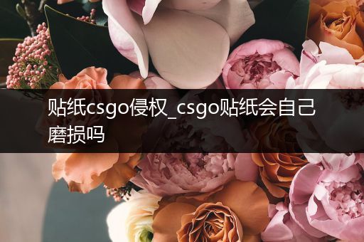 贴纸csgo侵权_csgo贴纸会自己磨损吗