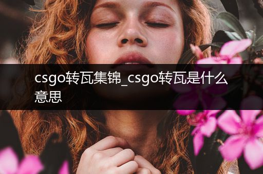 csgo转瓦集锦_csgo转瓦是什么意思