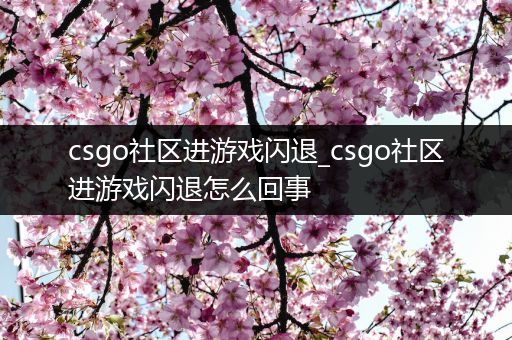 csgo社区进游戏闪退_csgo社区进游戏闪退怎么回事