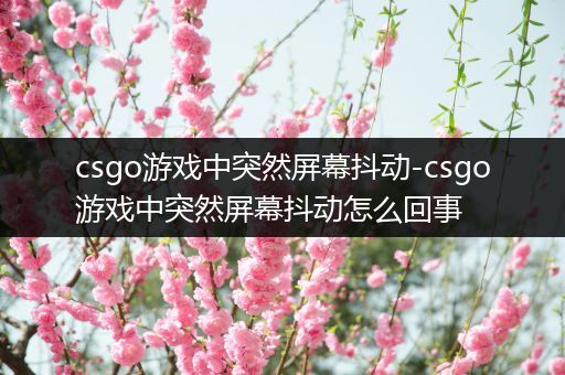 csgo游戏中突然屏幕抖动-csgo游戏中突然屏幕抖动怎么回事