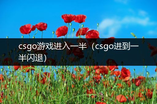 csgo游戏进入一半（csgo进到一半闪退）