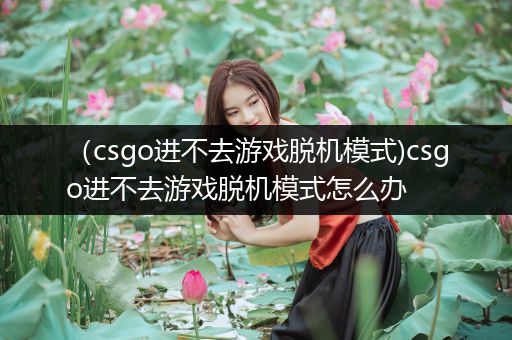 （csgo进不去游戏脱机模式)csgo进不去游戏脱机模式怎么办
