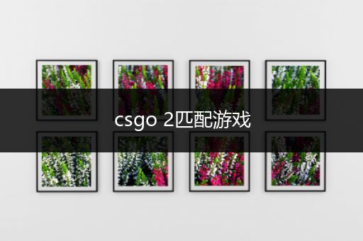csgo 2匹配游戏