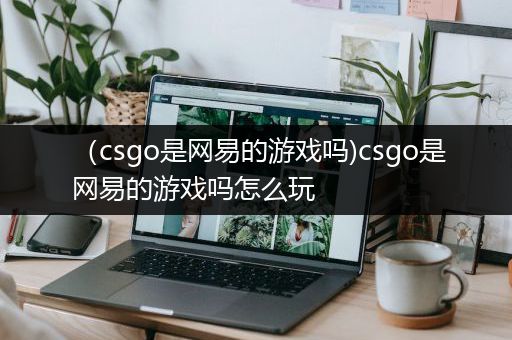 （csgo是网易的游戏吗)csgo是网易的游戏吗怎么玩