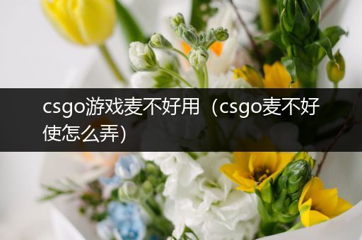 csgo游戏麦不好用（csgo麦不好使怎么弄）