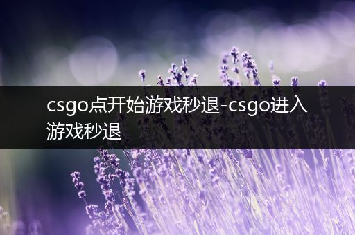 csgo点开始游戏秒退-csgo进入游戏秒退
