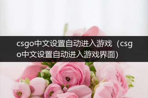csgo中文设置自动进入游戏（csgo中文设置自动进入游戏界面）