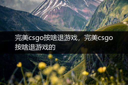 完美csgo按啥退游戏，完美csgo按啥退游戏的
