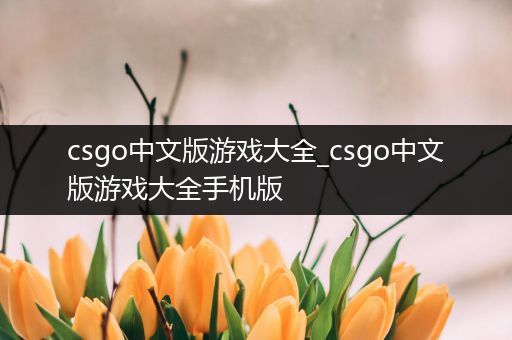 csgo中文版游戏大全_csgo中文版游戏大全手机版