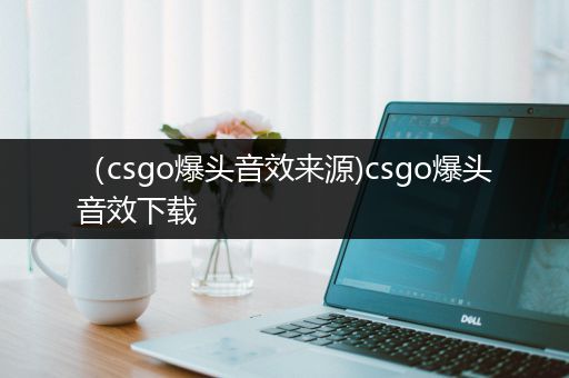 （csgo爆头音效来源)csgo爆头音效下载
