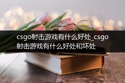 csgo射击游戏有什么好处_csgo射击游戏有什么好处和坏处