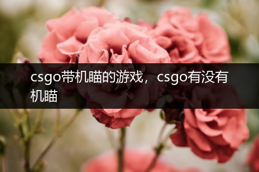 csgo带机瞄的游戏，csgo有没有机瞄