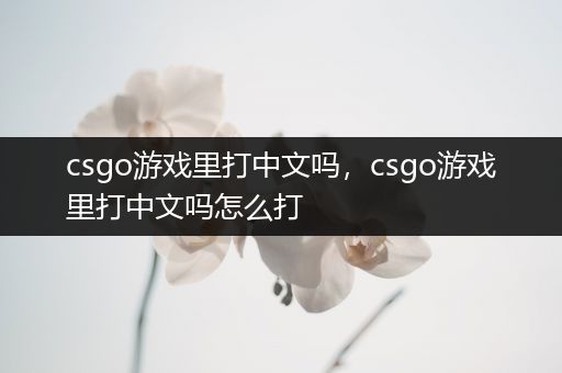 csgo游戏里打中文吗，csgo游戏里打中文吗怎么打