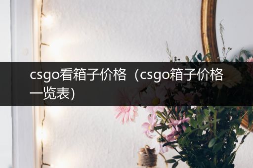 csgo看箱子价格（csgo箱子价格一览表）