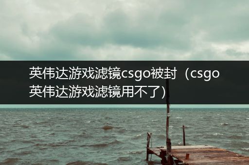 英伟达游戏滤镜csgo被封（csgo英伟达游戏滤镜用不了）
