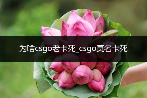 为啥csgo老卡死_csgo莫名卡死