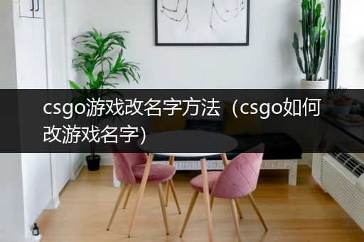 csgo游戏改名字方法（csgo如何改游戏名字）