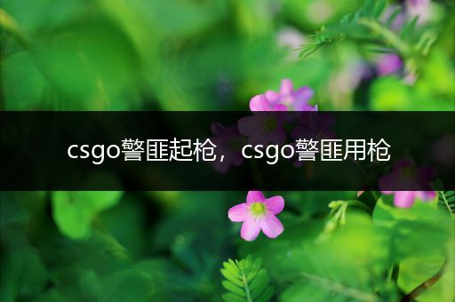csgo警匪起枪，csgo警匪用枪