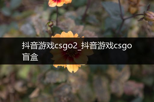 抖音游戏csgo2_抖音游戏csgo盲盒