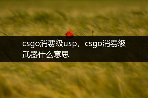 csgo消费级usp，csgo消费级武器什么意思
