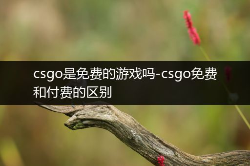 csgo是免费的游戏吗-csgo免费和付费的区别