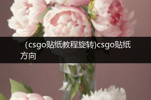 （csgo贴纸教程旋转)csgo贴纸方向