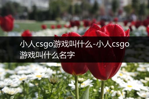 小人csgo游戏叫什么-小人csgo游戏叫什么名字