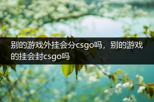 别的游戏外挂会分csgo吗，别的游戏的挂会封csgo吗