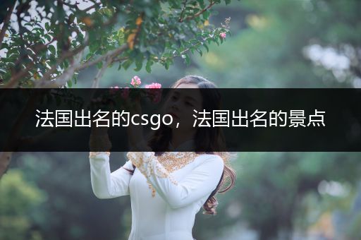法国出名的csgo，法国出名的景点
