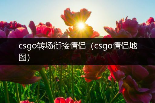 csgo转场衔接情侣（csgo情侣地图）