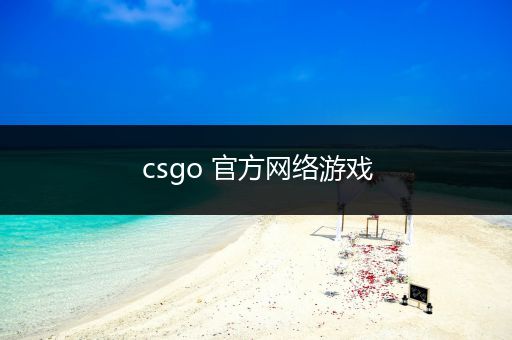 csgo 官方网络游戏