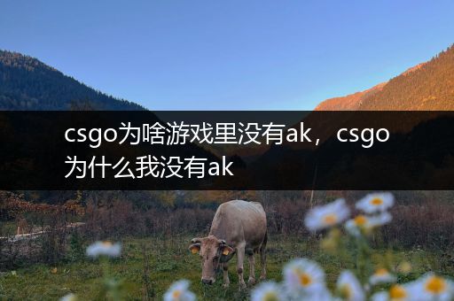 csgo为啥游戏里没有ak，csgo为什么我没有ak